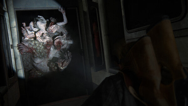 The Last of Us Part II Remastered - Pc